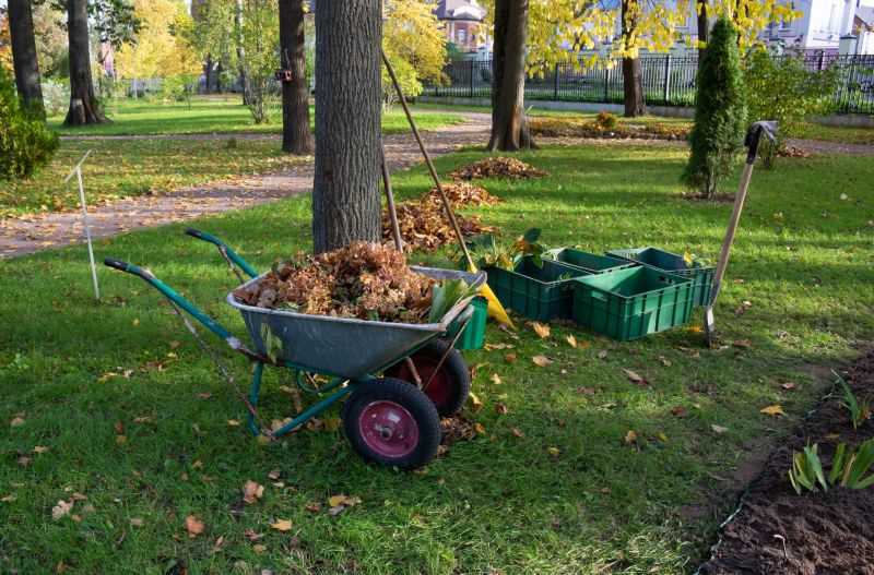 Clearing Debris from Lawn