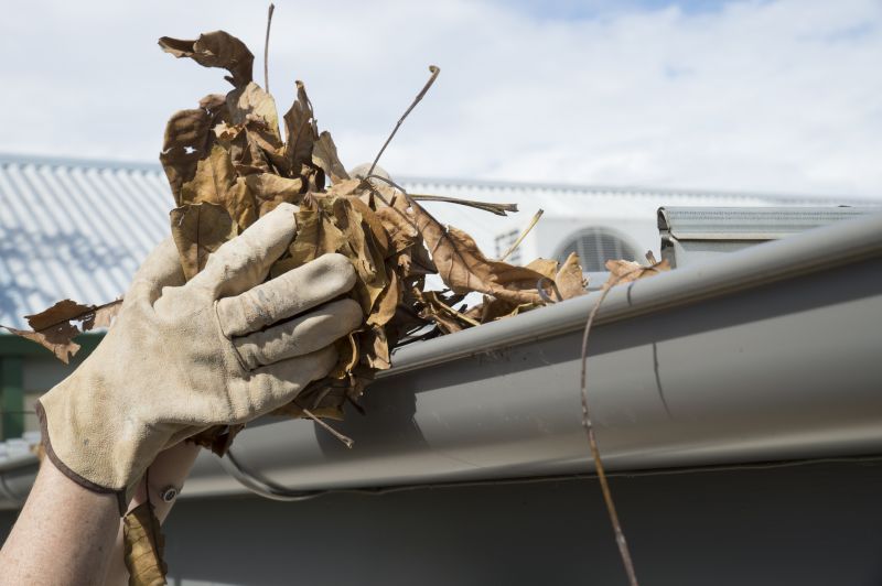 Gutter Clearing