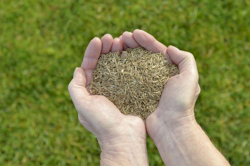 Groundskeeping Service