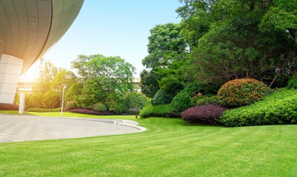 Commercial Lawn Care in Hattiesburg