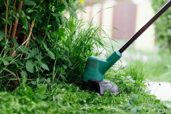 Weed Whacking in Hattiesburg