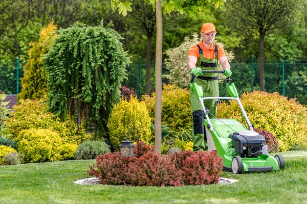 Yard Service in Hattiesburg