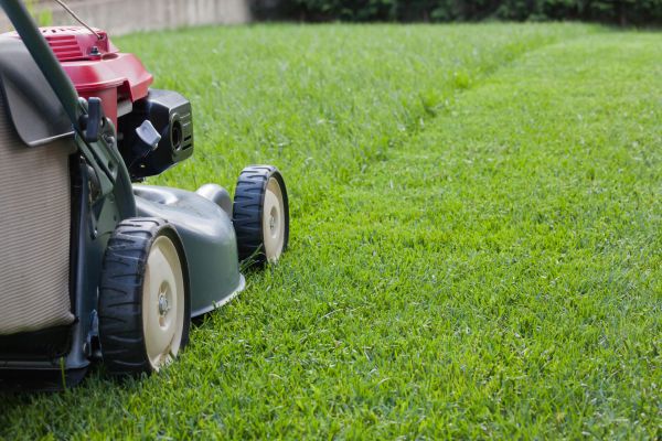 Residential Lawn Care in Hattiesburg