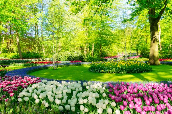 Spring Lawn Care in Hattiesburg