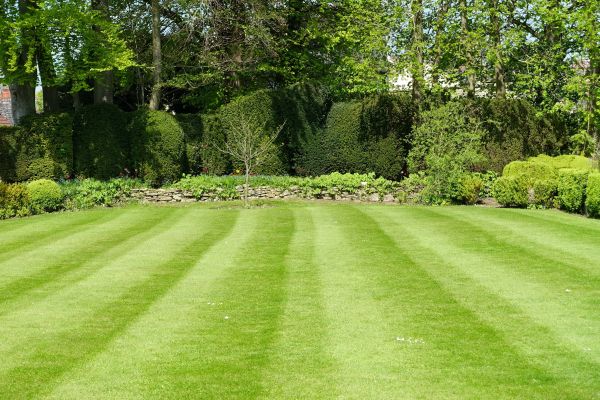 Grass Care Service in Hattiesburg