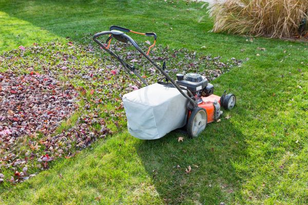 Seasonal Lawn Care in Hattiesburg