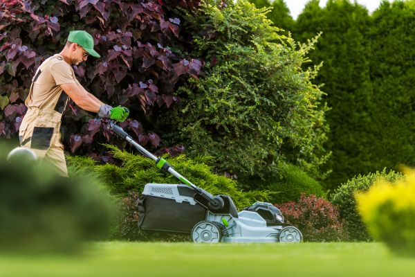 Lawn Management in Hattiesburg
