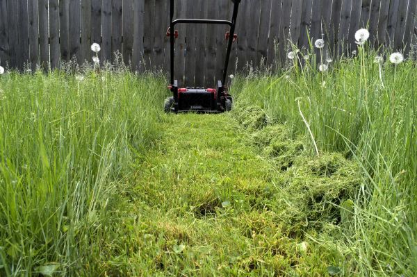 High Grass Mowing in Hattiesburg