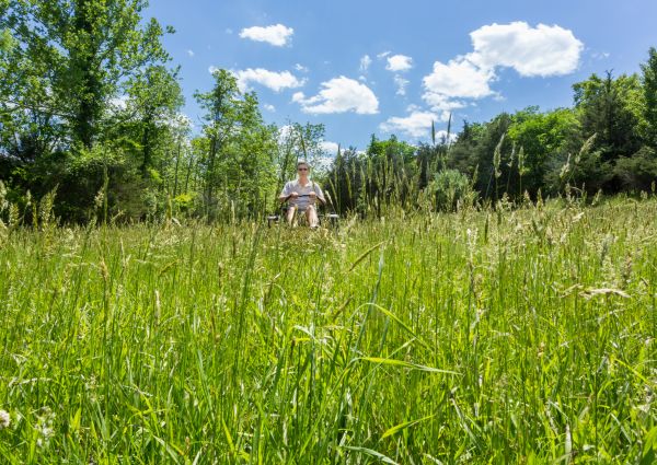 Long Grass Mowing in Hattiesburg