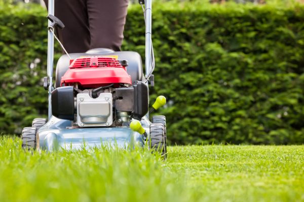 Grass Trimming Service in Hattiesburg