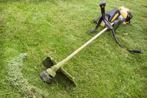 Hillside Weed Whacking in Hattiesburg