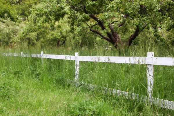 Fence Line Trimming in Hattiesburg