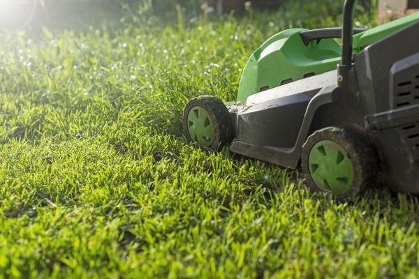 Lot Mowing in Hattiesburg