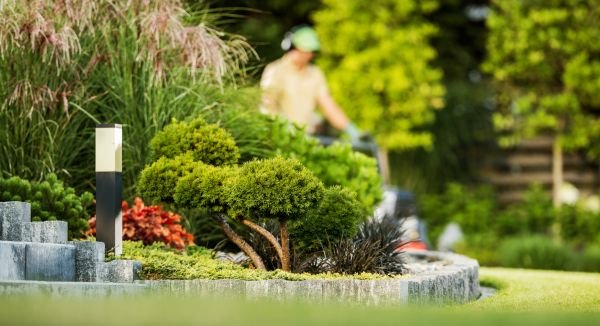 Residential Yard Maintenance in Hattiesburg