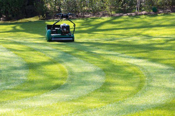 Business Lawn Mowing in Hattiesburg