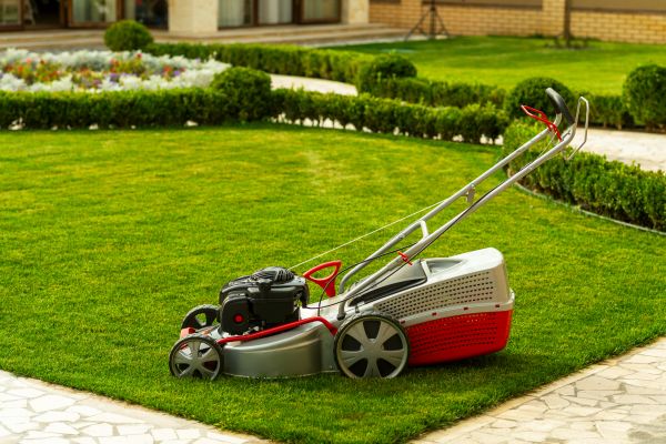 Business Grass Cutting in Hattiesburg