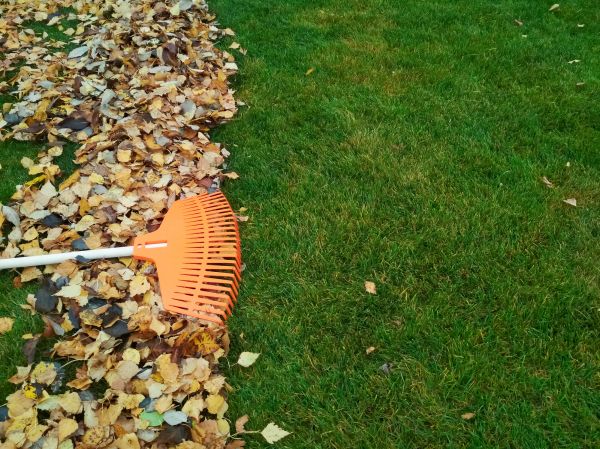 Fall Lawn Care in Hattiesburg