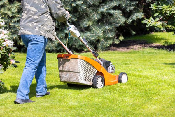 Springtime Lawn Care in Hattiesburg