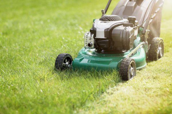 Spring Grass Trimming in Hattiesburg