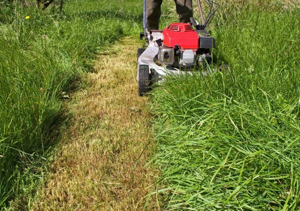 Leaf Mowing in Hattiesburg