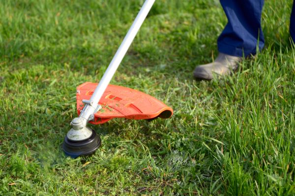 Lawn Weed Whacking in Hattiesburg